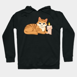 Easily Distracted by Cats and Candles Hoodie